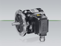 Baumer Hubner POG 10